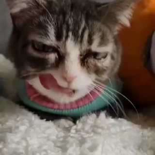🥱