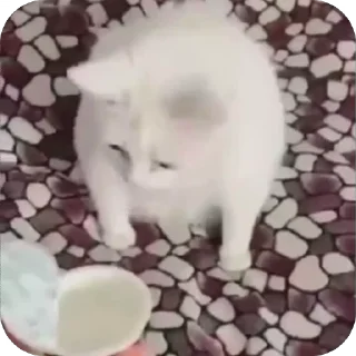 🤩