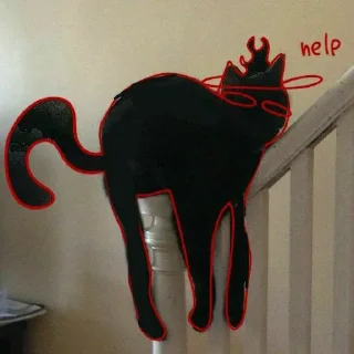 🐈
