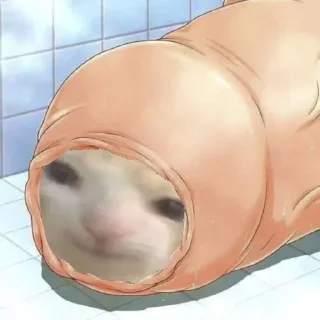 🍆