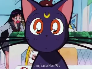 😻Luna & Artemis😸 @SailorMoon90s