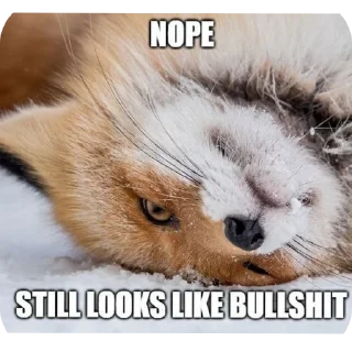 🦊