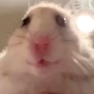 🙂
