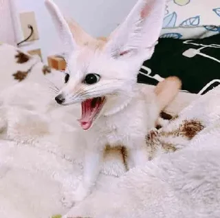 😃