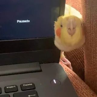 😉