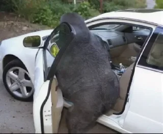 🚙