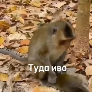 😎