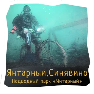 🐟