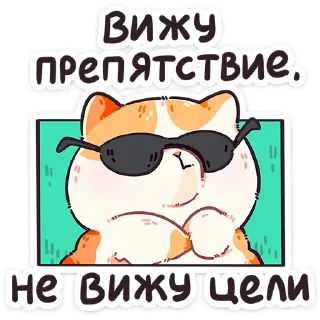 😎