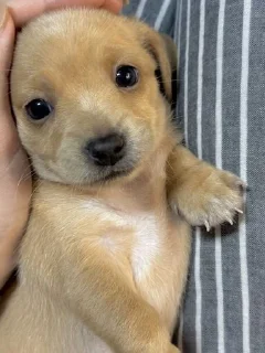 ☺️