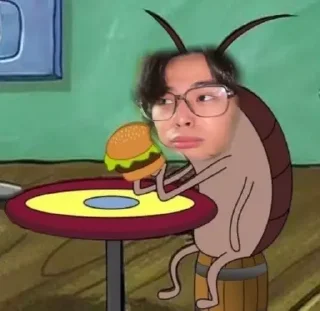 🤍
