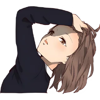 ✨