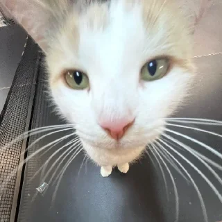 😐