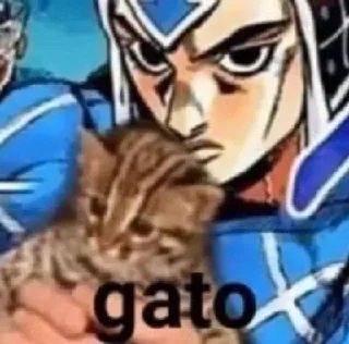 🐈