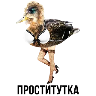 🦆