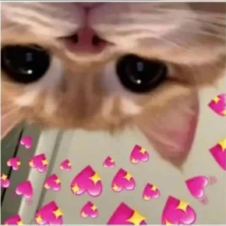 😍