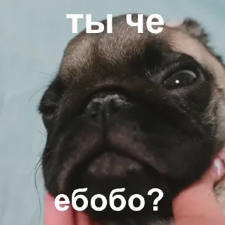🤔