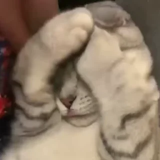 🧶