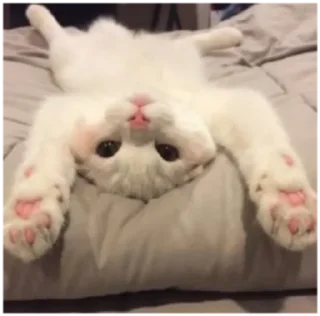 🙃