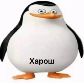 👍