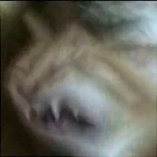 🙈