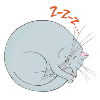 😴