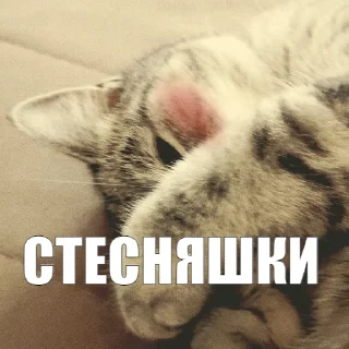 😅