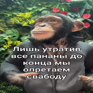 🍌