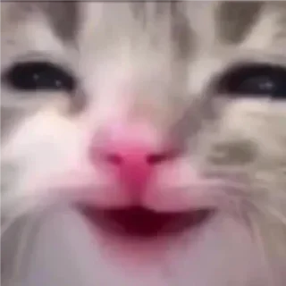 😏