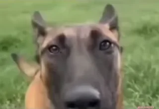 😨
