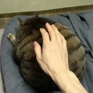 ❤