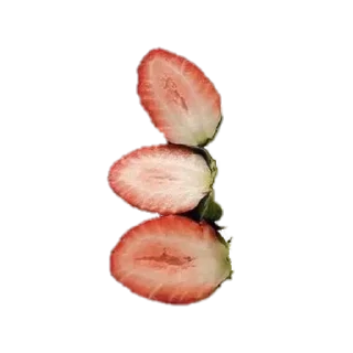 🌱
