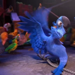 🦜