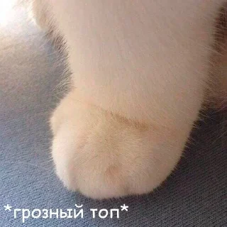 🦵