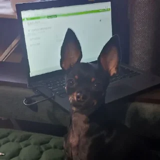 💻