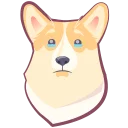 🐶