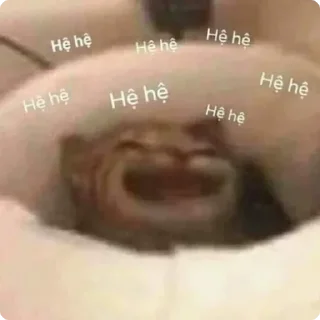 😼