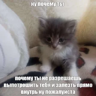 🇺🇦