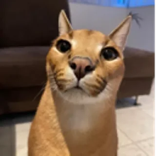 😩