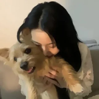 🥡