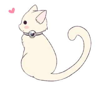 🐱