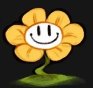 🌟