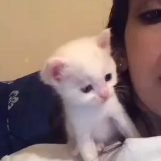💕