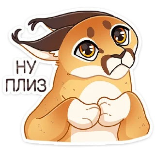😼