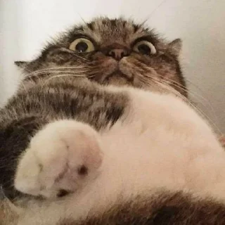 😳