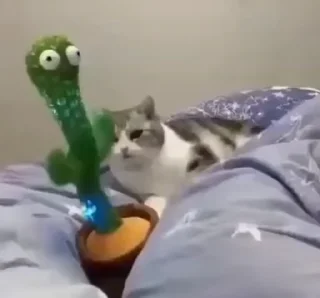 🤪