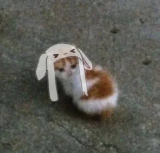 😭