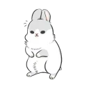 🐰