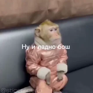 😈