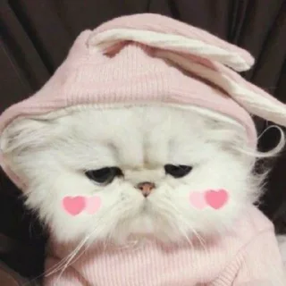 🥺